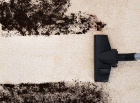 carpet cleaning